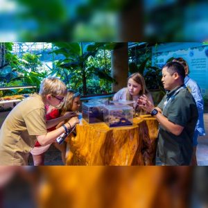 The Green Planet™ Dubai’s Summer Camp Enters Its Final Weeks