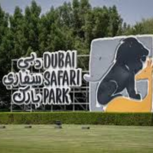 Dubai Safari Park Season 7 Reopening: Nature & Wildlife for Families