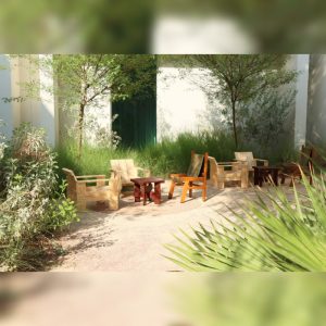 Paus Brings A New Chapter Of Everyday Well-Being To Dubai