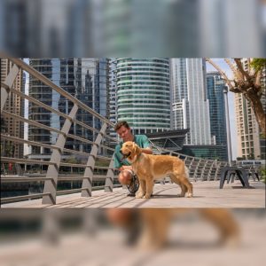 The Best Pet-Friendly Spots To Visit In JLT This Season