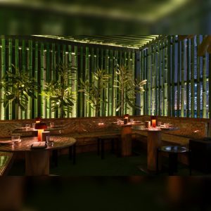 Female Bartender Takeover At Honeycomb Hi-F