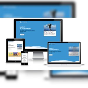 AI Applications In The Healthcare Industry