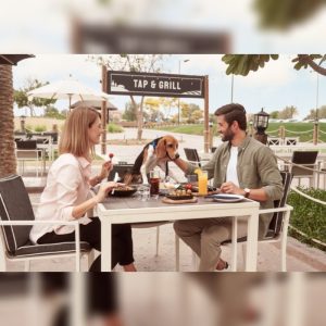 Master The Art Of Smoke With Texas BBQ Night