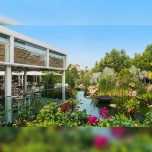 The Farm, Al Barari Introduces The Little Chef’s Club For Summer