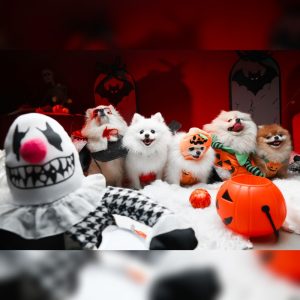 Halloween In Dubai Is Getting More Inclusive, And Pets Are Joining The Party